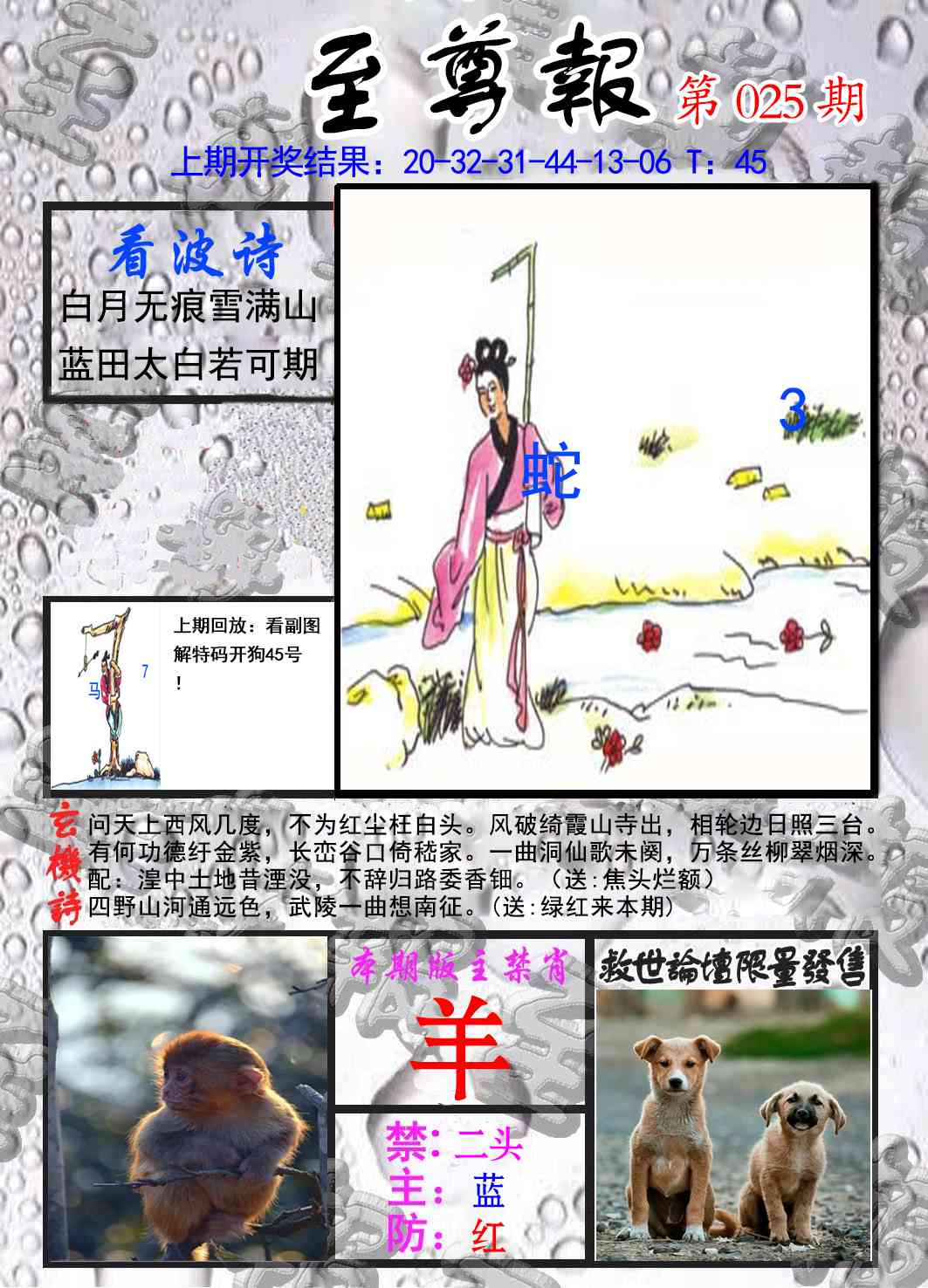 025期至尊报[图]