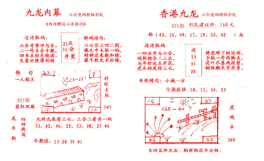 025期九龙内幕[图]