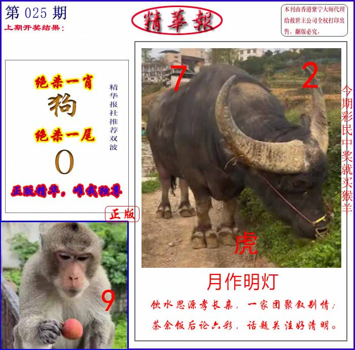 025期新精华报报[图]