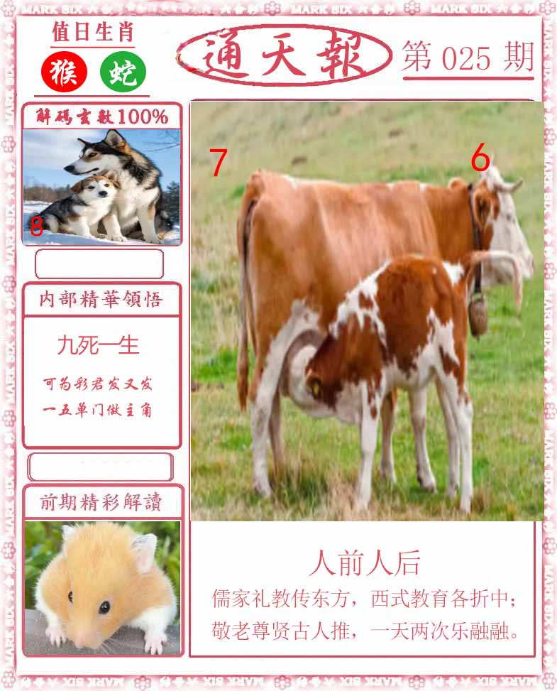 025期正版通天报[图]