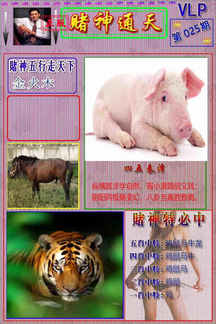 025期赌神通天报[图]