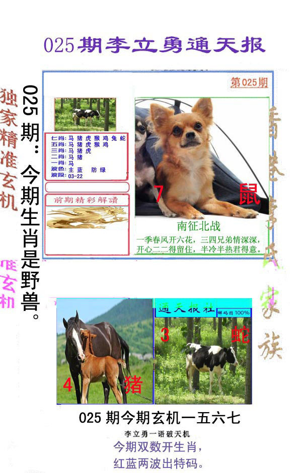 025期李立勇通天报[图]