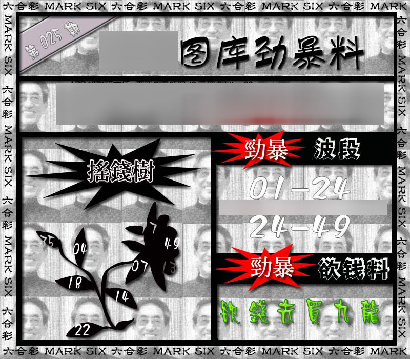 025期劲暴来料{正版}[图]