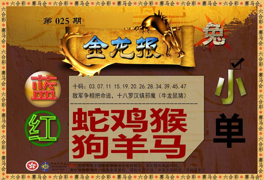 025期金龙报[图]