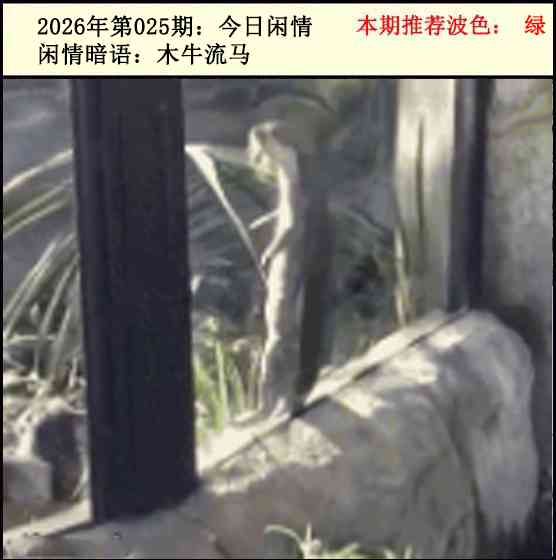 025期今日闲情2[图]